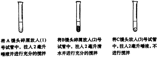 某同学做观察唾液淀粉酶的消化作用实验时,记