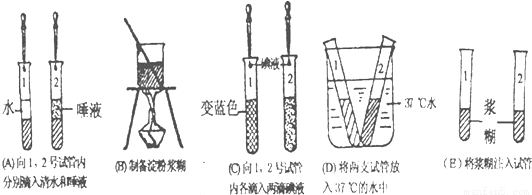 如图是《观察唾液淀粉酶对淀粉的消化作用》的