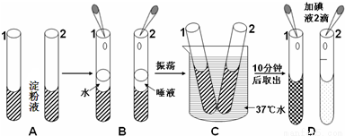 为探究温度对唾液淀粉酶催化作用的影响,小丽