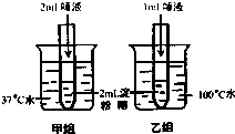 某同学欲探究温度对唾液淀粉酶活性的影响,设