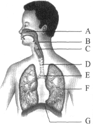 年来,在北京、石家庄等地频繁出现雾霾天气.雾
