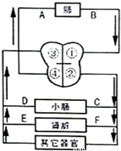 题:(1)肾脏被形象地称为滤清器,是因为通过_的