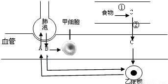 毛细血管内的血流速度很快._.(判断对错)