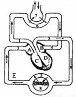 请结合人体心脏结构简图,回答以下问题:(1)心脏