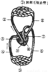 请结合人体心脏结构简图,回答以下问题:(1)心脏