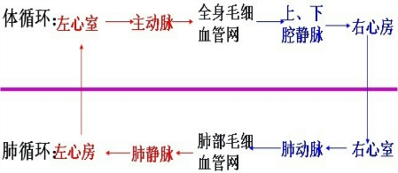 冬天,在给病人输液时,病人能感觉到冰凉的药水