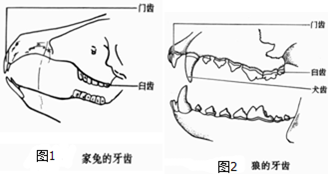 ͼǼúǵʾͼ,ͼش
