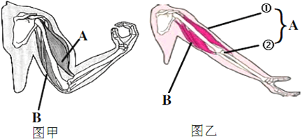 据图回答有关问题.(1)读图,填出各部分名称.1_