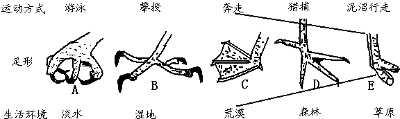 24点连线图解正确答案_图解大全 24点连线图解正确答案