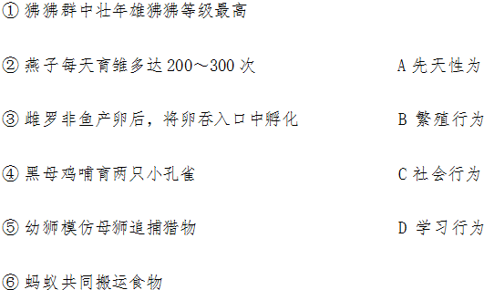 请阅读资料后回答问题.在某地生活着几种鸟.鹰