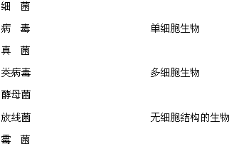 被子植物分类往往以花、果实和种子为主要依据