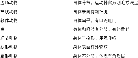 蚯蚓、蝗虫、鲫鱼、家鸽、家兔的呼吸器官分别