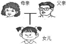 假若一株校本月季与一株白花初中v校本(Aa×a月季课程教材红花生物图片