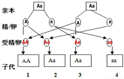 微博打拐是今年年初流行的词语,它是指.习题