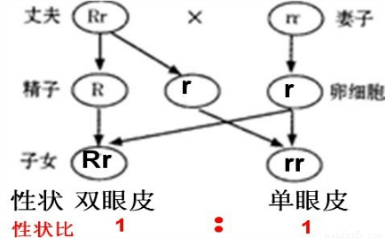 微博打拐是今年年初流行的词语,它是指.习题