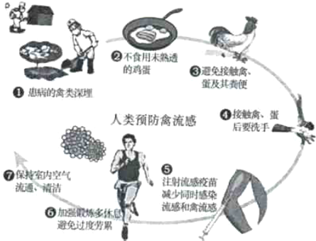 今年春季,源自墨西哥的甲型HINl流感疫情开始在