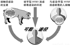 2009年3月墨西哥暴发人感染甲型H1N1流感