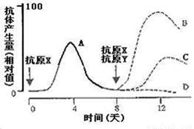 心脏瓣膜上的一种物质的表面结构与酿脓链球菌