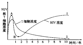 艾滋病是一种免疫缺陷病,又叫获得性免疫缺陷