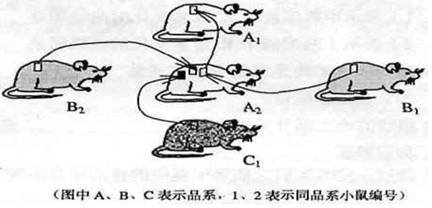 下图表示人体通过体液免疫消灭破伤风杆菌外毒