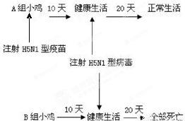 2009年春季,源自墨西哥的甲型H1N1流感疫情开