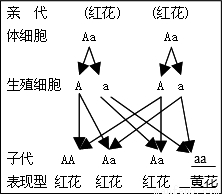 年健康生活的两组资料:初中一:若上网于沉溺或资料心得体会阅读英语图片