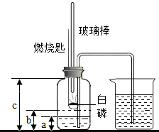 某校化学研究性学习小组在学习了空气中氧气