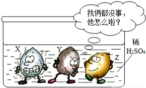 下图表示了金属活动性顺序表中铜、锡和铝被人