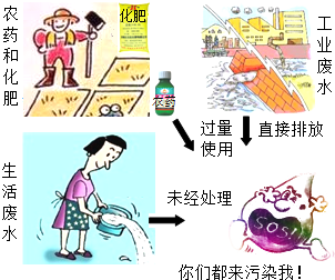 下表中的内容摘自安徽省水环境监测中心发布的