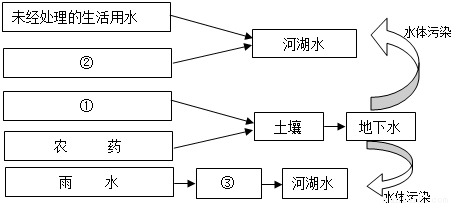 (2010松北区二模)水体污染是指大量污染物排入