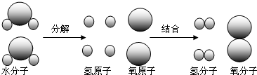 从水分解的过程示意图你能得出什么样的规律或结论.