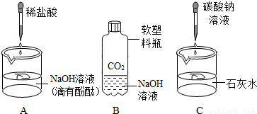 初中化学课上,同学们利用下列实验探究碱的化