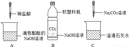 初中化学课上,同学们利用下列实验探究碱的化