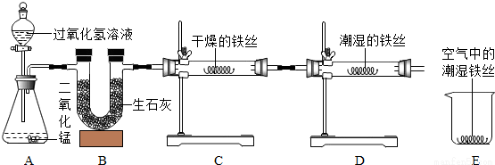 某校化学兴趣小组用下图所示装置对铁生锈的条