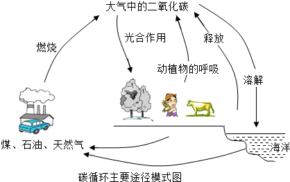的基本元素之一,也是组成煤、石油、天然气等
