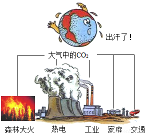 温室效应已引起全球广泛关注,某校研究小组的