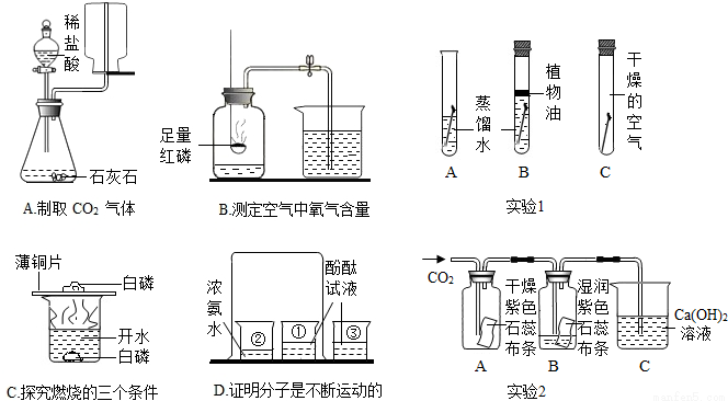 如图A~D是初中化学中的四个实验装置,请按要