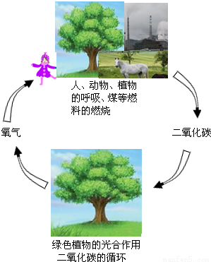 可持续发展,发展循环经济是必由之路.从化学的