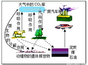 目前我国经济社会发展所面临的突出问题是迅速