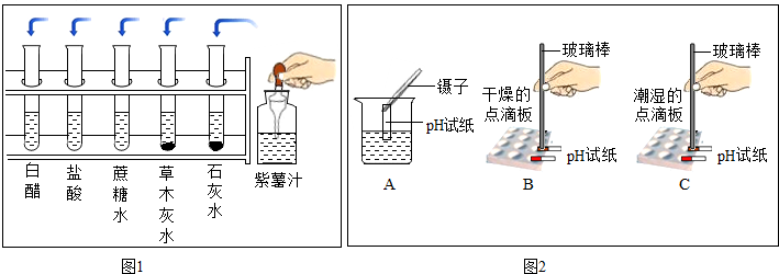 某校同学开展了如图所示溶液酸碱性的检验的