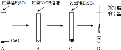 向一支装有少量CuO的试管中依次加入下列物质
