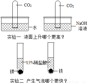 某化学兴趣小组,在学习碱的化学性质时,进行了