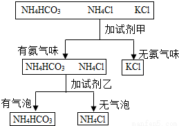 北师大版_化肥的简易鉴别