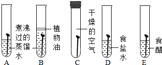 某小组同学利用如图所示装置探究铁生锈的条件