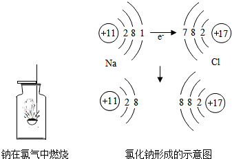 金属钠与氯气在一定条件下可以发生化学反应.