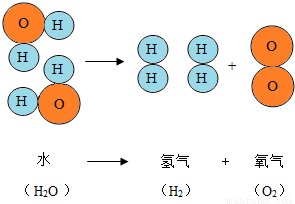 下图是水分子分解示意图,从图中你能得到哪些信息?(写出两条即可)