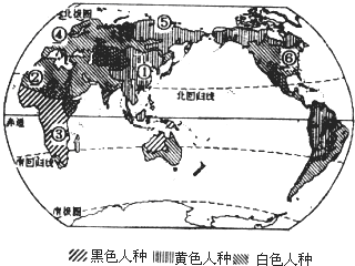 江津区墙体广告的特点_人口稠密区的特点