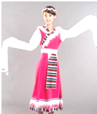 中国西部地区包括陕西、甘肃、青海、宁夏、新