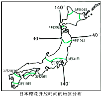 材料1:每年春天是日本人赏樱花的季节,当第一