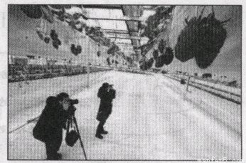 在2012年昌平第七届国际草莓节上,人们利用悬